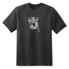 Dry Zone™ Short Sleeve Raglan T Shirt Thumbnail