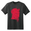 Dry Zone™ Short Sleeve Raglan T Shirt Thumbnail