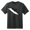 Dry Zone™ Short Sleeve Raglan T Shirt Thumbnail