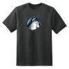 Dry Zone™ Short Sleeve Raglan T Shirt Thumbnail