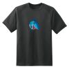 Dry Zone™ Short Sleeve Raglan T Shirt Thumbnail