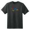 Dry Zone™ Short Sleeve Raglan T Shirt Thumbnail