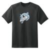 Dry Zone™ Short Sleeve Raglan T Shirt Thumbnail