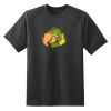 Dry Zone™ Short Sleeve Raglan T Shirt Thumbnail