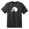 Dry Zone™ Short Sleeve Raglan T Shirt Thumbnail