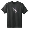 Dry Zone™ Short Sleeve Raglan T Shirt Thumbnail