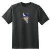 Dry Zone™ Short Sleeve Raglan T Shirt Thumbnail