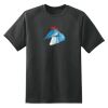 Dry Zone™ Short Sleeve Raglan T Shirt Thumbnail