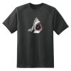 Dry Zone™ Short Sleeve Raglan T Shirt Thumbnail