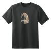 Dry Zone™ Short Sleeve Raglan T Shirt Thumbnail