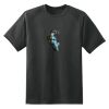 Dry Zone™ Short Sleeve Raglan T Shirt Thumbnail