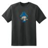 Dry Zone™ Short Sleeve Raglan T Shirt Thumbnail