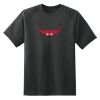 Dry Zone™ Short Sleeve Raglan T Shirt Thumbnail