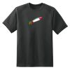 Dry Zone™ Short Sleeve Raglan T Shirt Thumbnail