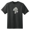 Dry Zone™ Short Sleeve Raglan T Shirt Thumbnail
