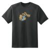 Dry Zone™ Short Sleeve Raglan T Shirt Thumbnail