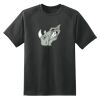 Dry Zone™ Short Sleeve Raglan T Shirt Thumbnail