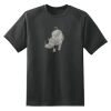 Dry Zone™ Short Sleeve Raglan T Shirt Thumbnail