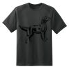 Dry Zone™ Short Sleeve Raglan T Shirt Thumbnail