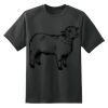 Dry Zone™ Short Sleeve Raglan T Shirt Thumbnail