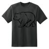 Dry Zone™ Short Sleeve Raglan T Shirt Thumbnail