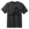 Dry Zone™ Short Sleeve Raglan T Shirt Thumbnail