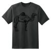 Dry Zone™ Short Sleeve Raglan T Shirt Thumbnail
