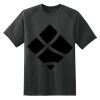 Dry Zone™ Short Sleeve Raglan T Shirt Thumbnail
