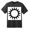 Dry Zone™ Short Sleeve Raglan T Shirt Thumbnail