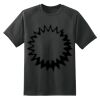 Dry Zone™ Short Sleeve Raglan T Shirt Thumbnail