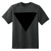Dry Zone™ Short Sleeve Raglan T Shirt Thumbnail