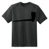 Dry Zone™ Short Sleeve Raglan T Shirt Thumbnail