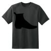 Dry Zone™ Short Sleeve Raglan T Shirt Thumbnail