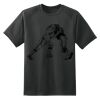 Dry Zone™ Short Sleeve Raglan T Shirt Thumbnail