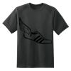 Dry Zone™ Short Sleeve Raglan T Shirt Thumbnail