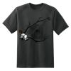 Dry Zone™ Short Sleeve Raglan T Shirt Thumbnail