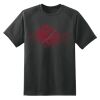 Dry Zone™ Short Sleeve Raglan T Shirt Thumbnail