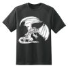 Dry Zone™ Short Sleeve Raglan T Shirt Thumbnail