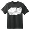 Dry Zone™ Short Sleeve Raglan T Shirt Thumbnail