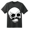 Dry Zone™ Short Sleeve Raglan T Shirt Thumbnail