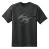 Dry Zone™ Short Sleeve Raglan T Shirt Thumbnail
