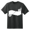 Dry Zone™ Short Sleeve Raglan T Shirt Thumbnail