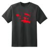 Dry Zone™ Short Sleeve Raglan T Shirt Thumbnail