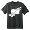 Dry Zone™ Short Sleeve Raglan T Shirt Thumbnail