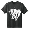 Dry Zone™ Short Sleeve Raglan T Shirt Thumbnail