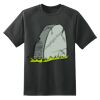 Dry Zone™ Short Sleeve Raglan T Shirt Thumbnail